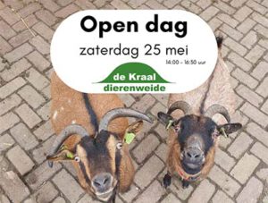 opendag dierenweide de Kraal