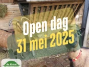 Open dag dierenweide de Kraal