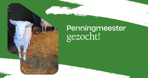 Penningmeester gezocht